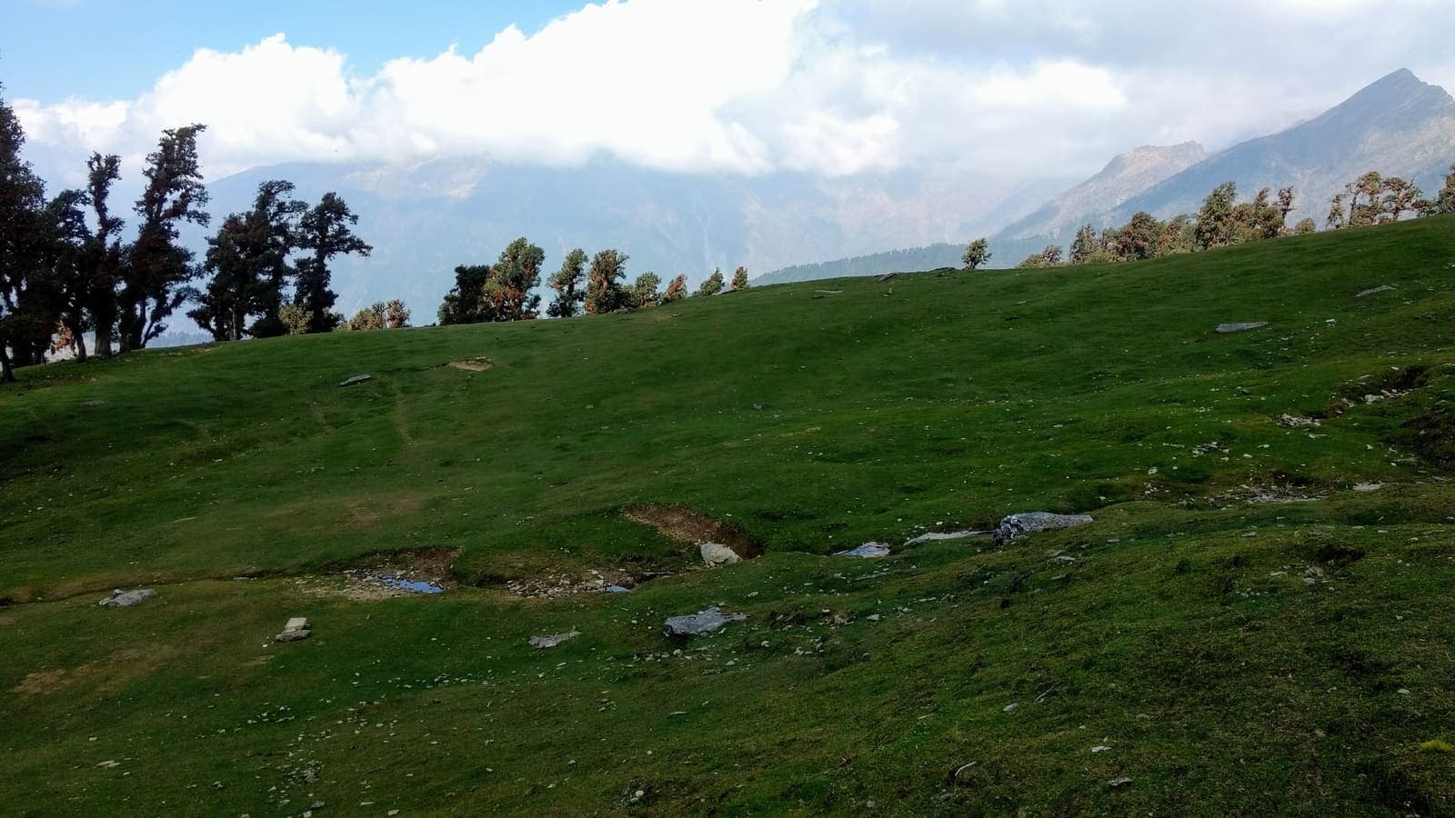 Chopta, Rudraprayag District, Uttarakhand