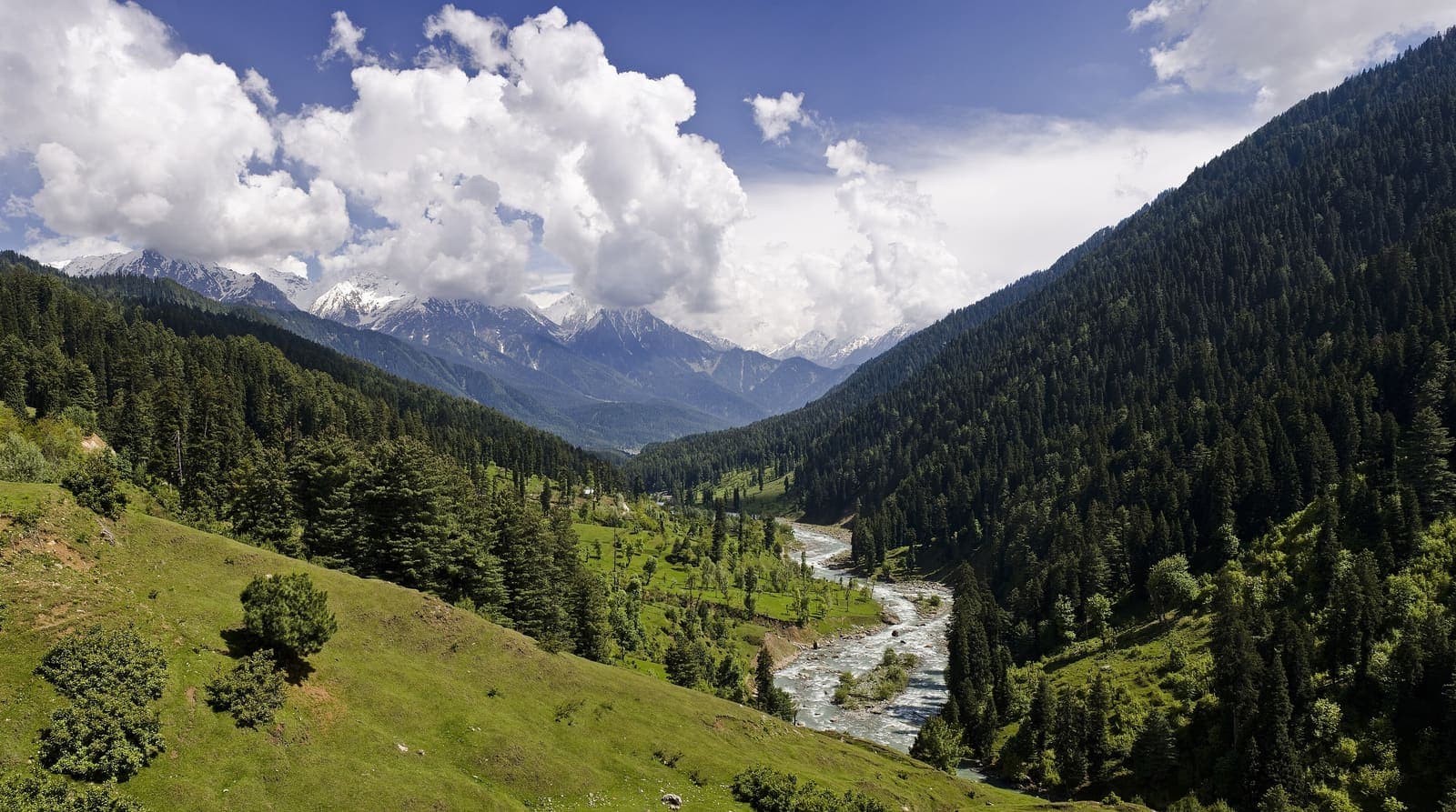 Pahalgam, Anantnag District, Jammu & Kashmir