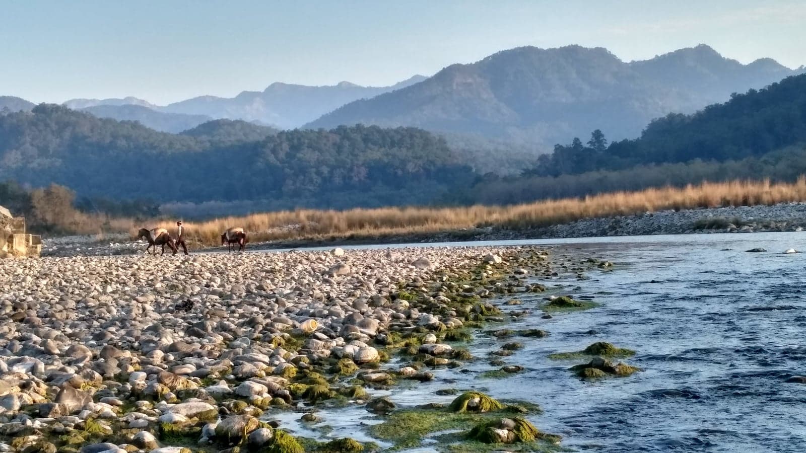 Ramnagar, Nainital District, Uttarakhand