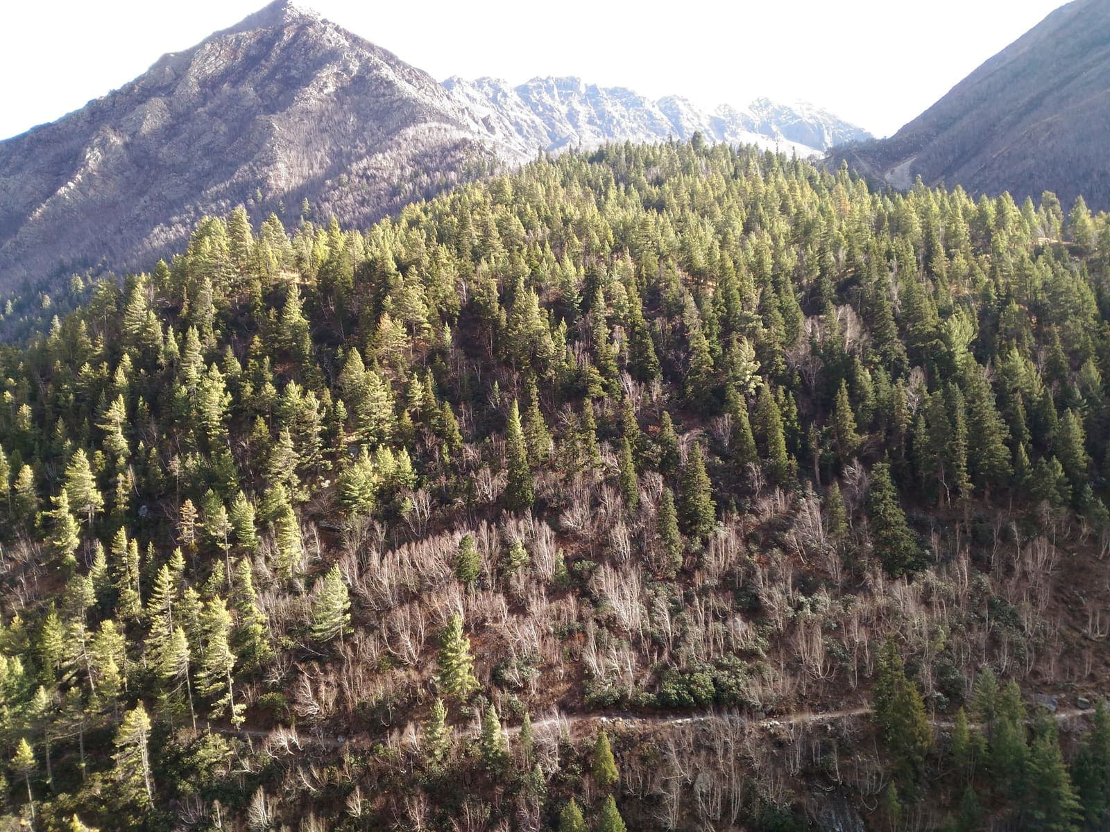 Sangla Valley, Kinnaur Valley, Himachal Pradesh