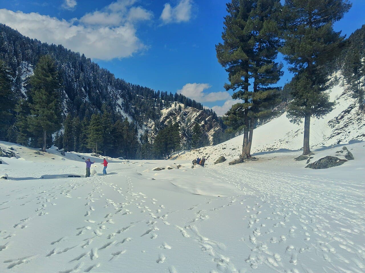 Gulmarg Winter Escape